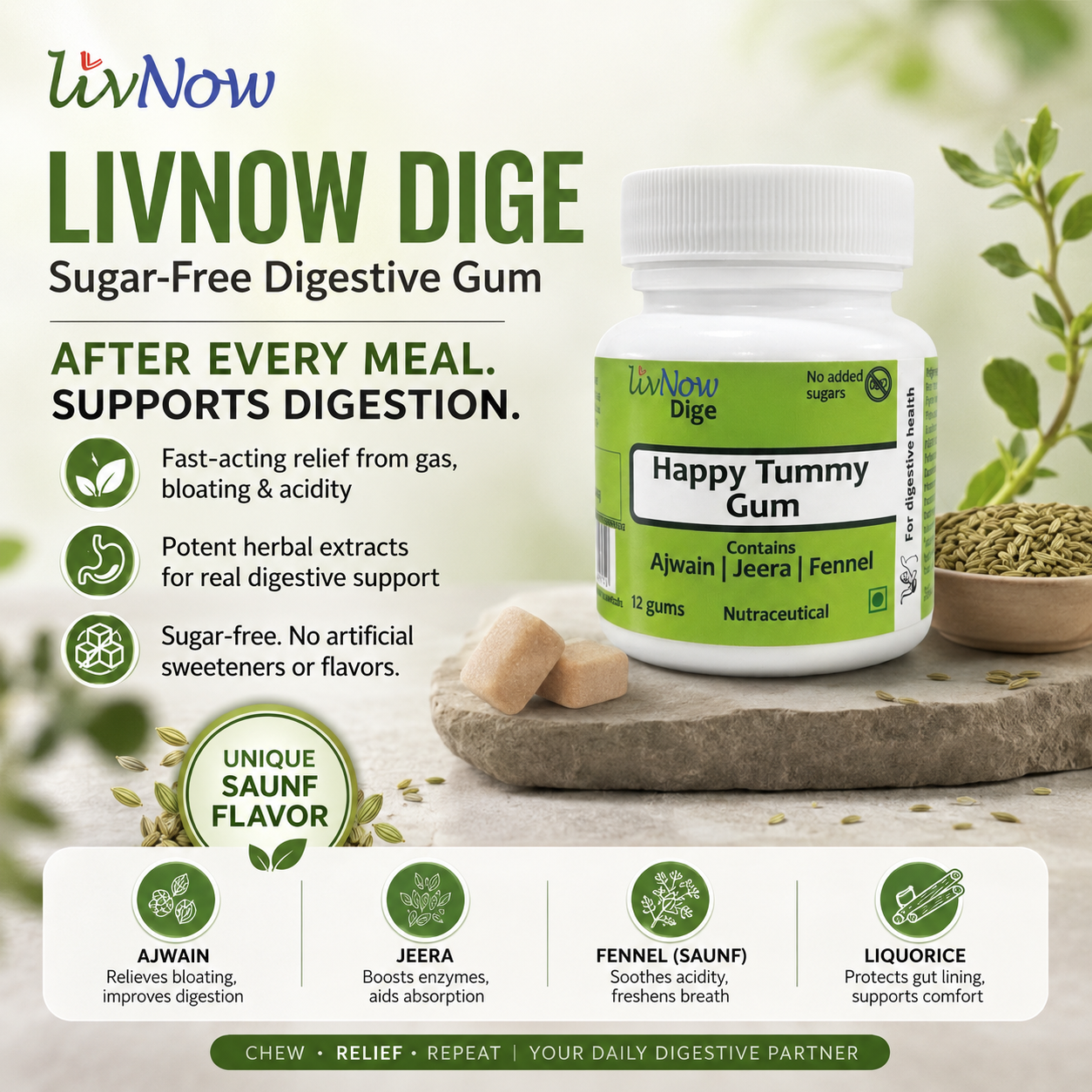 LivNow Dige Sugar Free Digestive Chewing Gum for Gas, Acidity & Bloating | With Ajwain & Jeera | After-Meal Digestive Gum | Pack of 2 (24 Gums) - Image 2