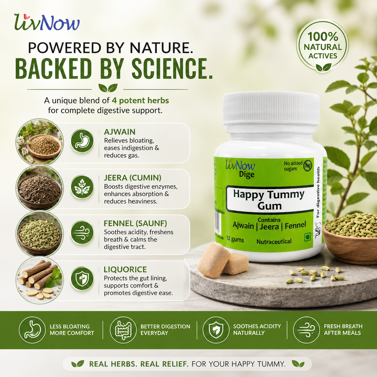 LivNow Dige Sugar Free Digestive Chewing Gum for Gas, Acidity & Bloating | With Ajwain & Jeera | After-Meal Digestive Gum | Pack of 2 (24 Gums) - Image 3