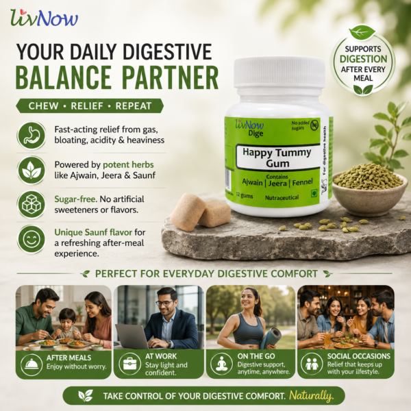 Dige: your daily digestive balance partner